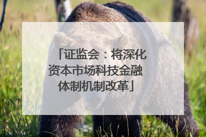 证监会：将深化资本市场科技金融体制机制改革