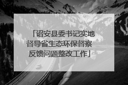 诏安县委书记实地督导省生态环保督察反馈问题整改工作