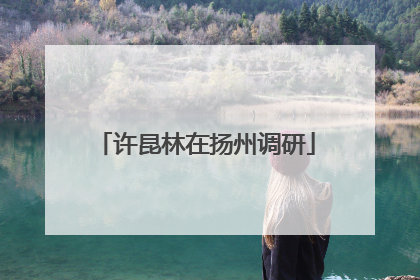 许昆林在扬州调研