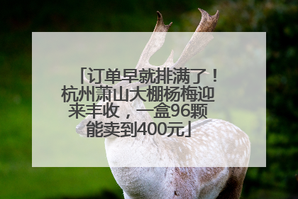 订单早就排满了！杭州萧山大棚杨梅迎来丰收，一盒96颗能卖到400元