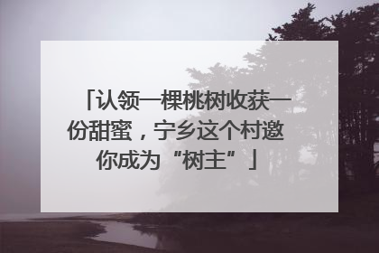 认领一棵桃树收获一份甜蜜，宁乡这个村邀你成为“树主”