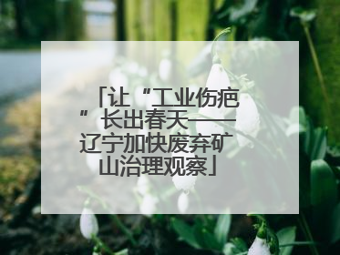 让“工业伤疤”长出春天——辽宁加快废弃矿山治理观察