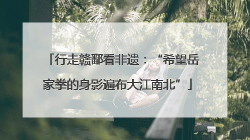 行走赣鄱看非遗：“希望岳家拳的身影遍布大江南北”