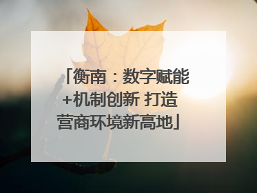 衡南：数字赋能+机制创新 打造营商环境新高地