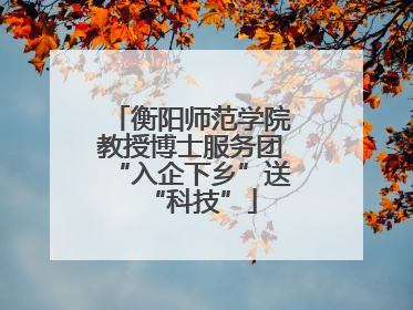 衡阳师范学院教授博士服务团“入企下乡”送“科技”
