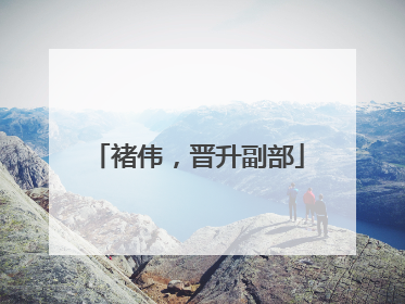 褚伟，晋升副部