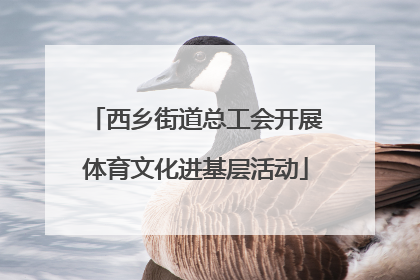 西乡街道总工会开展体育文化进基层活动
