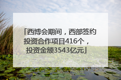 西博会期间，西部签约投资合作项目416个，投资金额3543亿元