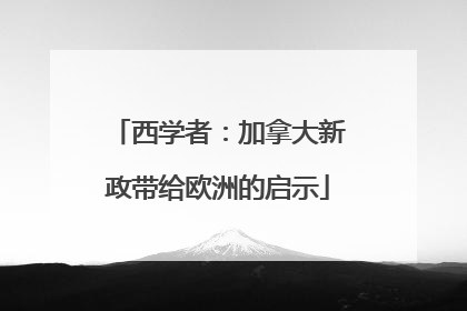 西学者：加拿大新政带给欧洲的启示