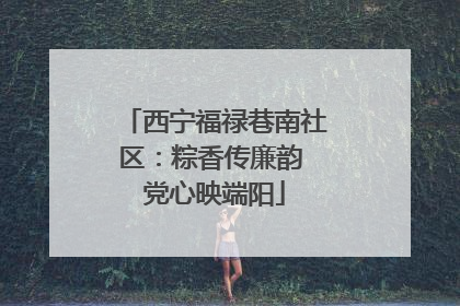西宁福禄巷南社区：粽香传廉韵 党心映端阳