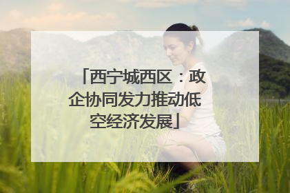 西宁城西区：政企协同发力推动低空经济发展
