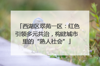 西湖区翠苑一区：红色引领多元共治，构建城市里的“熟人社会”