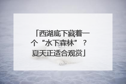 西湖底下藏着一个“水下森林”？夏天正适合观赏