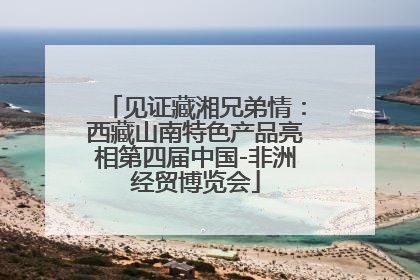 见证藏湘兄弟情：西藏山南特色产品亮相第四届中国-非洲经贸博览会