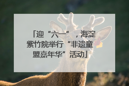 迎“六一”，海淀紫竹院举行“非遗童盟嘉年华”活动