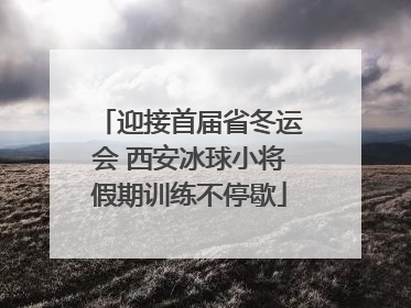 迎接首届省冬运会 西安冰球小将假期训练不停歇
