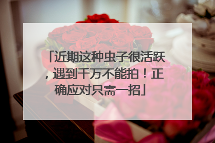近期这种虫子很活跃，遇到千万不能拍！正确应对只需一招