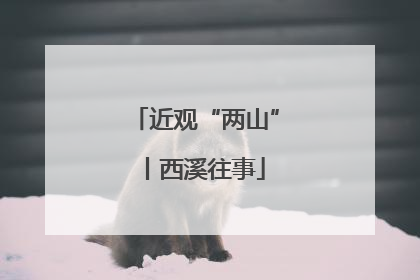 近观“两山”丨西溪往事