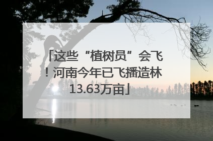 这些“植树员”会飞！河南今年已飞播造林13.63万亩