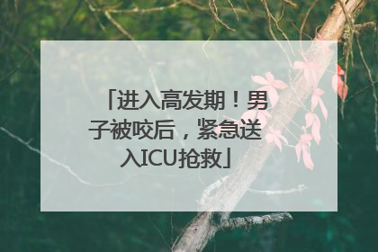 进入高发期！男子被咬后，紧急送入ICU抢救