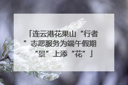 连云港花果山“行者”志愿服务为端午假期“景”上添“花”