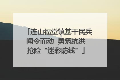 连山福堂镇基干民兵闻令而动  勇筑抗洪抢险“迷彩防线”