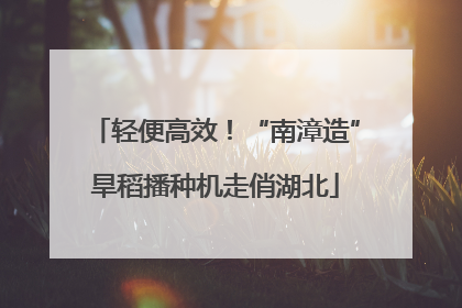 轻便高效！“南漳造”旱稻播种机走俏湖北
