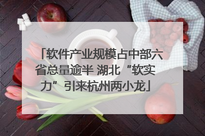 软件产业规模占中部六省总量逾半 湖北“软实力”引来杭州两小龙