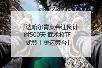 达喀尔青奥会迎倒计时500天 武术将正式登上奥运舞台