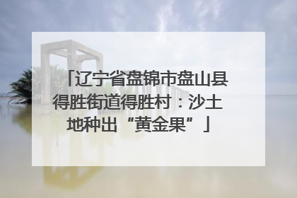 辽宁省盘锦市盘山县得胜街道得胜村：沙土地种出“黄金果”