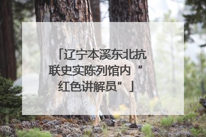 辽宁本溪东北抗联史实陈列馆内“红色讲解员”