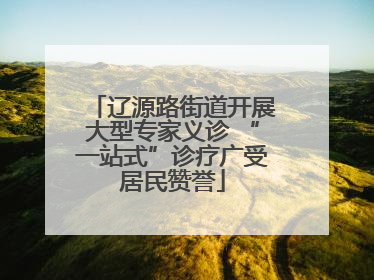 辽源路街道开展大型专家义诊 “一站式”诊疗广受居民赞誉