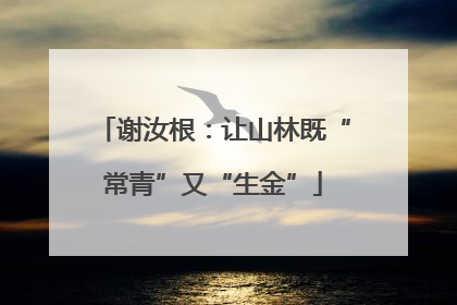 谢汝根：让山林既“常青”又“生金”