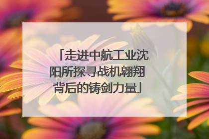 走进中航工业沈阳所探寻战机翱翔背后的铸剑力量