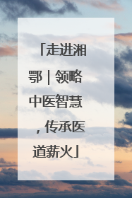 走进湘鄂｜领略中医智慧，传承医道薪火