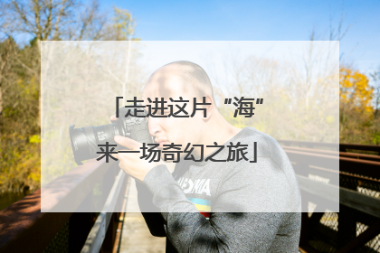 走进这片“海”来一场奇幻之旅