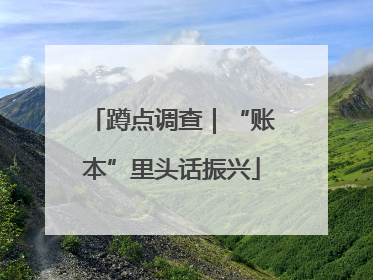 蹲点调查｜“账本”里头话振兴