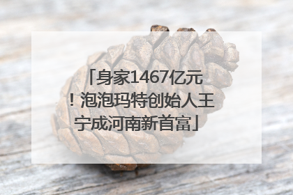 身家1467亿元！泡泡玛特创始人王宁成河南新首富