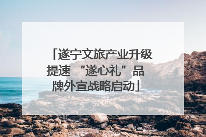 遂宁文旅产业升级提速 “遂心礼”品牌外宣战略启动