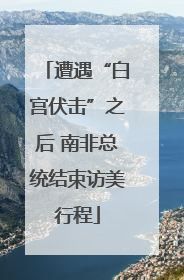 遭遇“白宫伏击”之后 南非总统结束访美行程