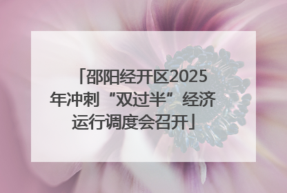 邵阳经开区2025年冲刺“双过半”经济运行调度会召开