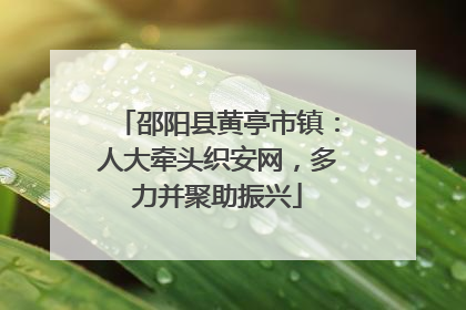 邵阳县黄亭市镇：人大牵头织安网，多力并聚助振兴