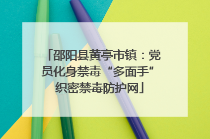 邵阳县黄亭市镇：党员化身禁毒“多面手” 织密禁毒防护网
