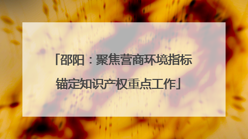 邵阳：聚焦营商环境指标 锚定知识产权重点工作