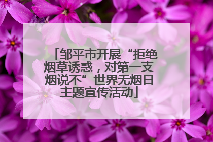 邹平市开展“拒绝烟草诱惑，对第一支烟说不”世界无烟日主题宣传活动