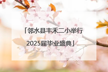 邻水县丰禾二小举行2025届毕业盛典