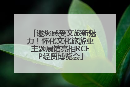 邀您感受文旅新魅力！怀化文化旅游业主题展馆亮相RCEP经贸博览会
