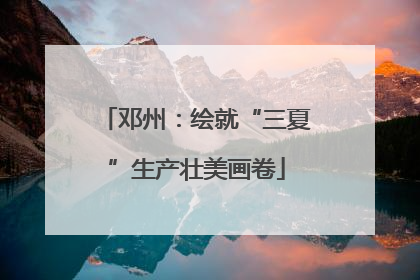 邓州：绘就“三夏”生产壮美画卷