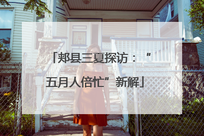 郏县三夏探访：“五月人倍忙”新解