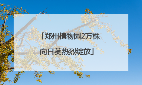 郑州植物园2万株向日葵热烈绽放